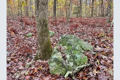 Tract 7 County Rd 4210, Salem, MO 65560 - Photo 3