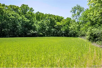 2126 Krenning Road, Beaufort, MO 63013 - Photo 81