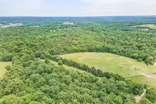 1444 Yellow Rock, De Soto, MO 63020 - Photo 3