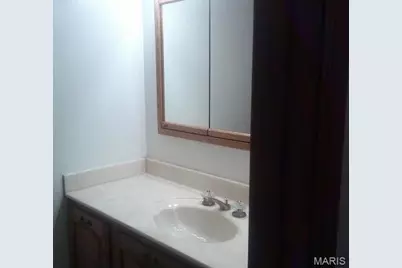 12439 Norma Lane, Saint Louis, MO 63138 - Photo 31