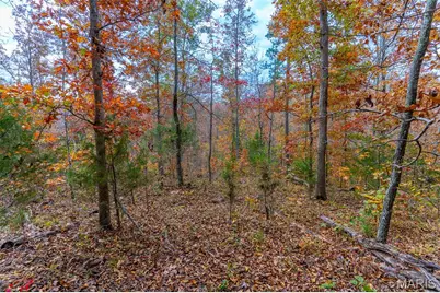 000 Hwy Jj (Tract 10), Marquand, MO 63655 - Photo 23