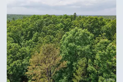 10 State Route T, Richwoods, MO 63071 - Photo 3