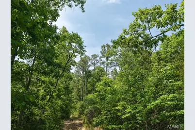 10 State Route T, Richwoods, MO 63071 - Photo 13