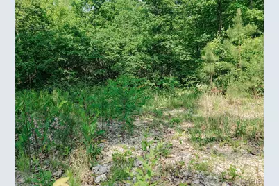10 State Route T, Richwoods, MO 63071 - Photo 11