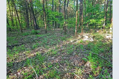 001 Blackwell Heights Road, Blackwell, MO 63626 - Photo 33
