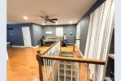 313 S Mill Street, Festus, MO 63028 - Photo 5