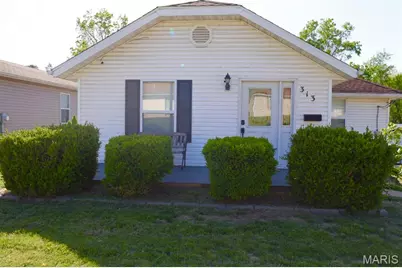 313 S Mill Street, Festus, MO 63028 - Photo 1