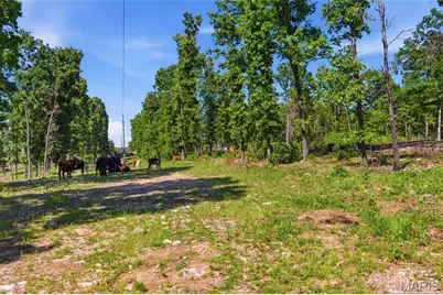 210 County Road 320, Alton, MO 65606 - Photo 93