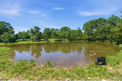 210 County Road 320, Alton, MO 65606 - Photo 81
