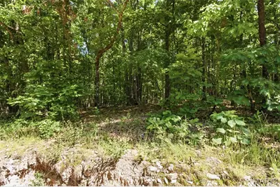 210 County Road 320, Alton, MO 65606 - Photo 89