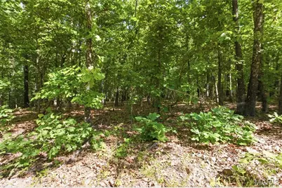 210 County Road 320, Alton, MO 65606 - Photo 85