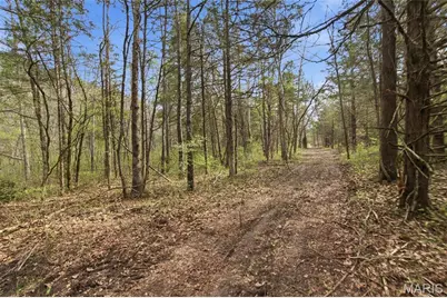 000 Highway 32, Licking, MO 65542 - Photo 55
