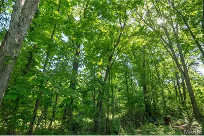 71 Silver Carp Lane, Doniphan, MO 63935 - Photo 15