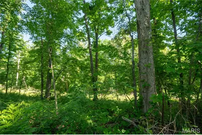 71 Silver Carp Lane, Doniphan, MO 63935 - Photo 7