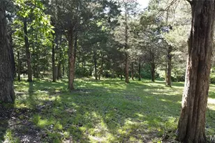 13505 State Rd E Rd, De Soto, MO 63020 - Photo 41
