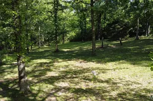 [Address not provided], De Soto, MO 63020 - Photo 15