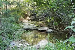 13505 State Rd E Rd, De Soto, MO 63020 - Photo 29