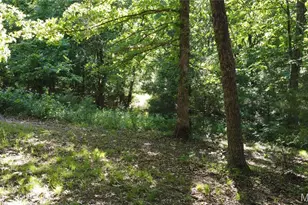 [Address not provided], De Soto, MO 63020 - Photo 29