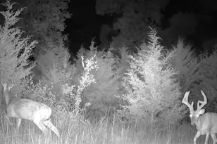 13505 State Rd E Rd, De Soto, MO 63020 - Photo 49