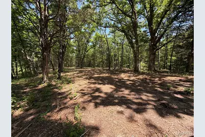 2.61 Acres Buckner Rd., Wentzville, MO 63385 - Photo 9