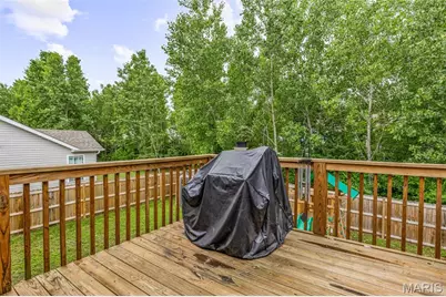 123 Doctrine Drive, Festus, MO 63028 - Photo 17