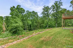 318 Rue Marseilles, Bonne Terre, MO 63628 - Photo 49