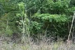 0 Lot #316 Villa Vista Dr, Robertsville, MO 65066 - Photo 1