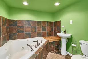 7 Winter River Ct, Fenton, MO 63026 - Photo 67