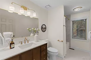 13314 Tree Top View Ct, Saint Louis, MO 63141 - Photo 51