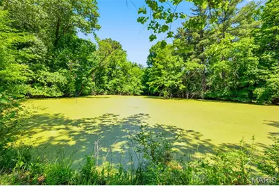 613 Jacobs Station Road, Unincorporated, MO 63304 - Photo 53