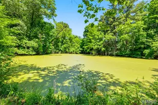 613 Jacobs Station Rd, Unincorporated, MO 63304 - Photo 53