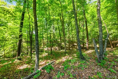 613 Jacobs Station Road, Unincorporated, MO 63304 - Photo 57