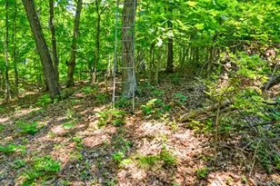613 Jacobs Station Rd, Unincorporated, MO 63304 - Photo 55