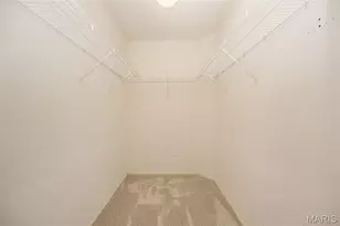 10145 Morgan Ridge Dr, Mehlville, MO 63123 - Photo 29