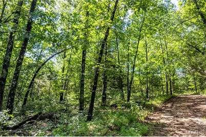 119 Ac N State Highway 47, Warrenton, MO 63383 - Photo 5