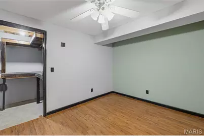 2330 Garden Lane, Festus, MO 63028 - Photo 29