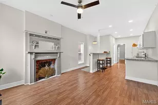4218 Vista Ave, Saint Louis, MO 63110 - Photo 3