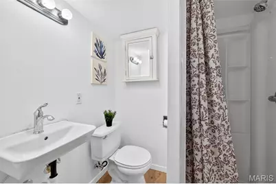 4218 Vista Avenue, Saint Louis, MO 63110 - Photo 19