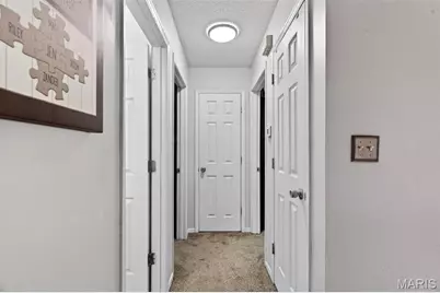 3836 Birch Drive, Imperial, MO 63052 - Photo 15