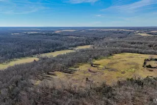 1508 N Davis Hollow Rd, Richland, MO 65556 - Photo 69