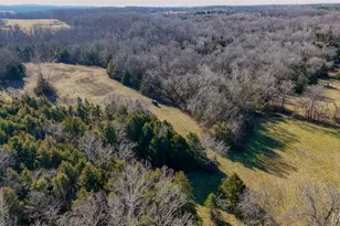 1508 N Davis Hollow Rd, Richland, MO 65556 - Photo 31