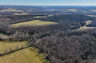 1508 N Davis Hollow Rd, Richland, MO 65556 - Photo 39