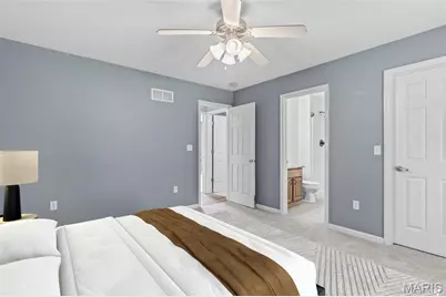 308 Gran Vista Drive, Festus, MO 63028 - Photo 9