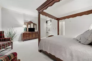 9767 Fall Ridge Trail, Sunset Hills, MO 63127 - Photo 27