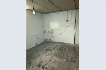 3512 Halliday Avenue, Saint Louis, MO 63118 - Photo 29