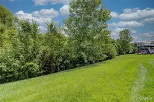 207 Barrington Ridge Ln, Wentzville, MO 63385 - Photo 39