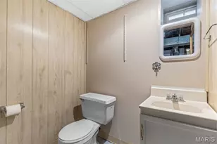 4317 Steins St, Saint Louis, MO 63116 - Photo 15