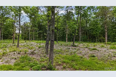 299 Whitetail Ridge, Dittmer, MO 63023 - Photo 19