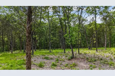 299 Whitetail Ridge, Dittmer, MO 63023 - Photo 7