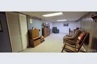 10531 Crecelius Drive, Saint Louis, MO 63123 - Photo 13